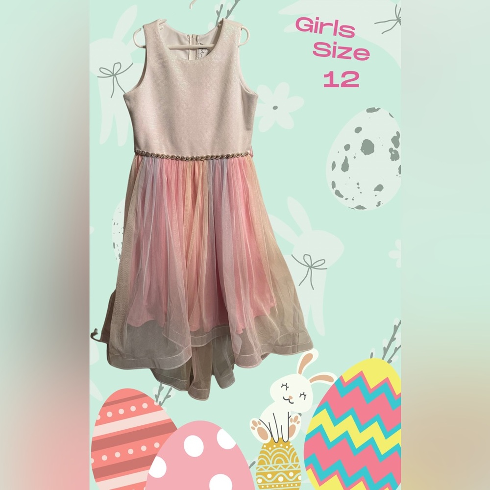 Emily Rose girls size 12 dress